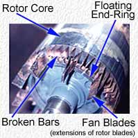 Rotor with broken bars
